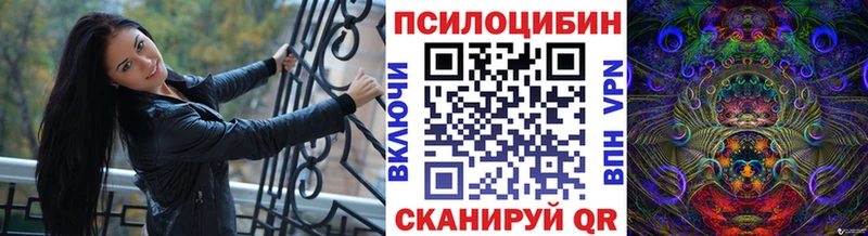 площадка какой сайт  Зеленокумск  Псилоцибиновые грибы прущие грибы 